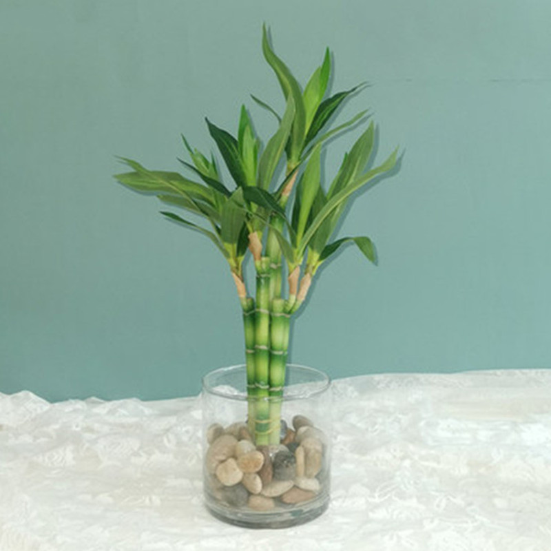 Desk Setup Plants - Nowy 40cm rFtificial Lucky Bamboo Succulent