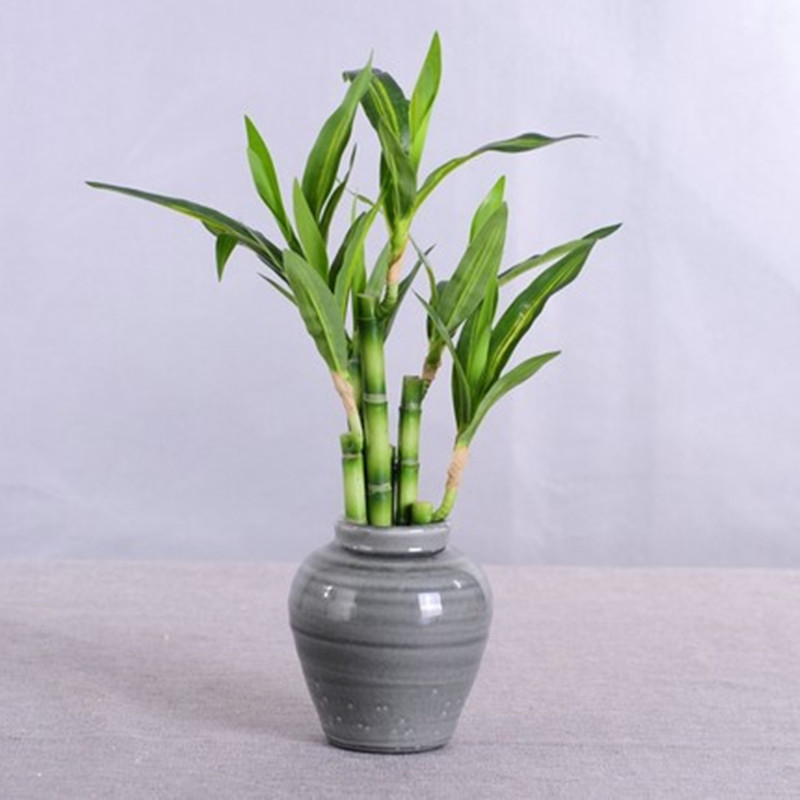 Nowy 40cm rFtificial Lucky Bam – Desk Setup Plants recenzja i cena