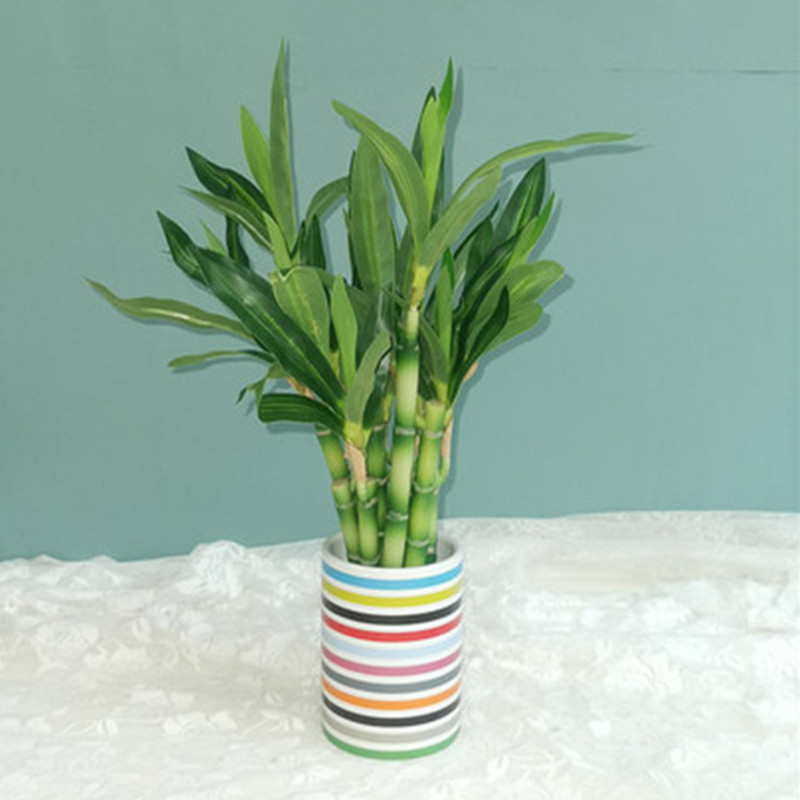 Nowy 40cm rFtificial Lucky Bam – Desk Setup Plants recenzja i cena